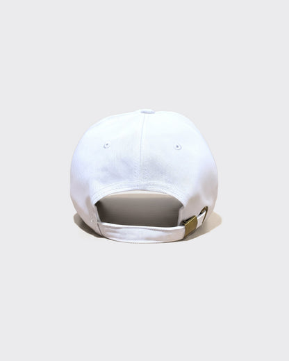 The Dad Hat - Inside the Leather Golf Gloves
